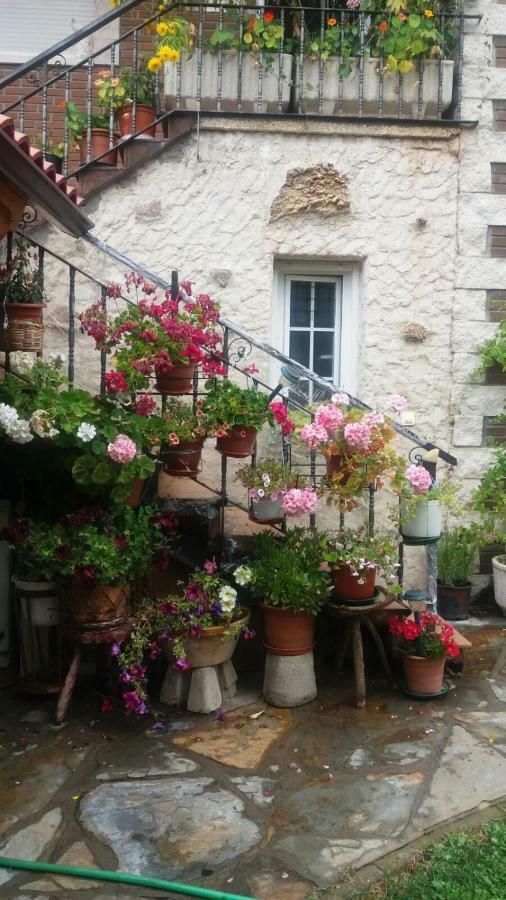 Casa Hostal Olga - Castilla Y Leon Cofinal ภายนอก รูปภาพ